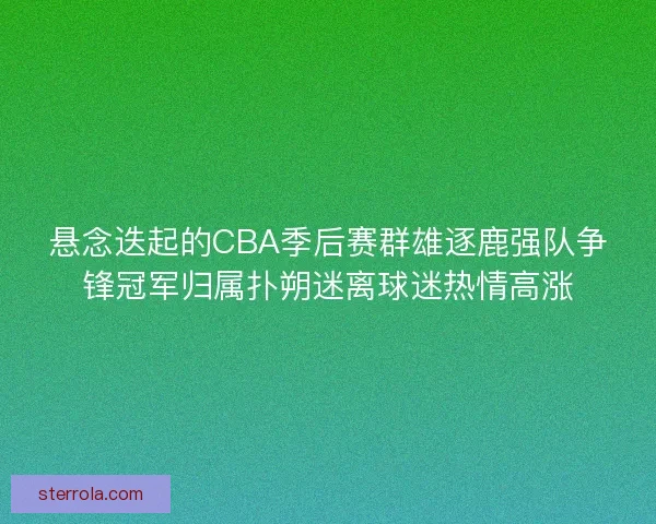 悬念迭起的CBA季后赛群雄逐鹿强队争锋冠军归属扑朔迷离球迷热情高涨